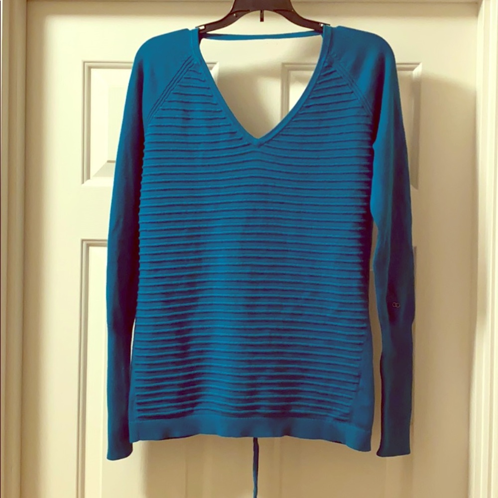 Teal cinch back sweater